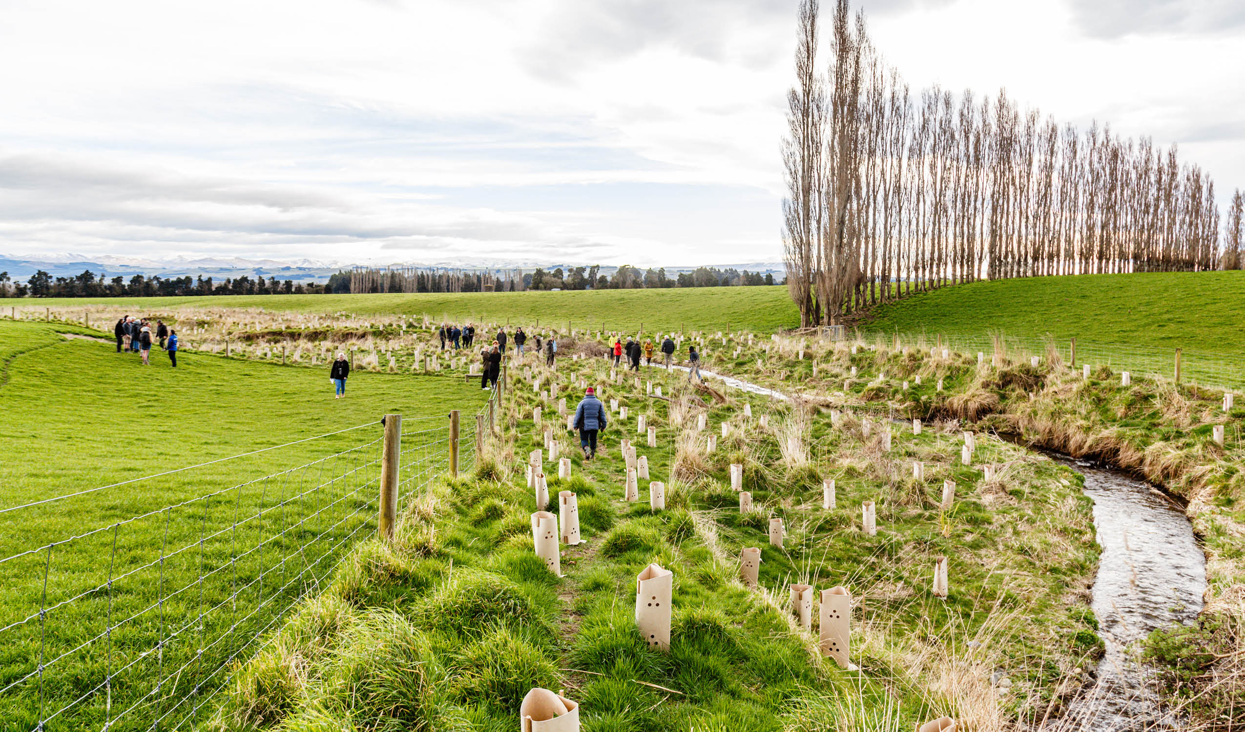Restoring Waterways in Southland, New Zealand: A Collaboration between PWC Group and Advance Landscape Systems